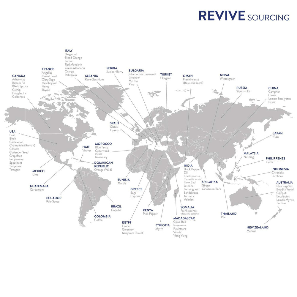 REVIVEEO Stress Easy aromatherapy routine creates a serene atmosphere.