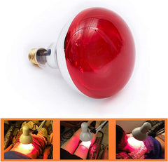Interior view of Rhmip bulb showing red glow and infrared output