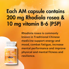 Rhoziva AM PM with Rhodiola Rosea emphasizes daytime vitality for busy schedules.