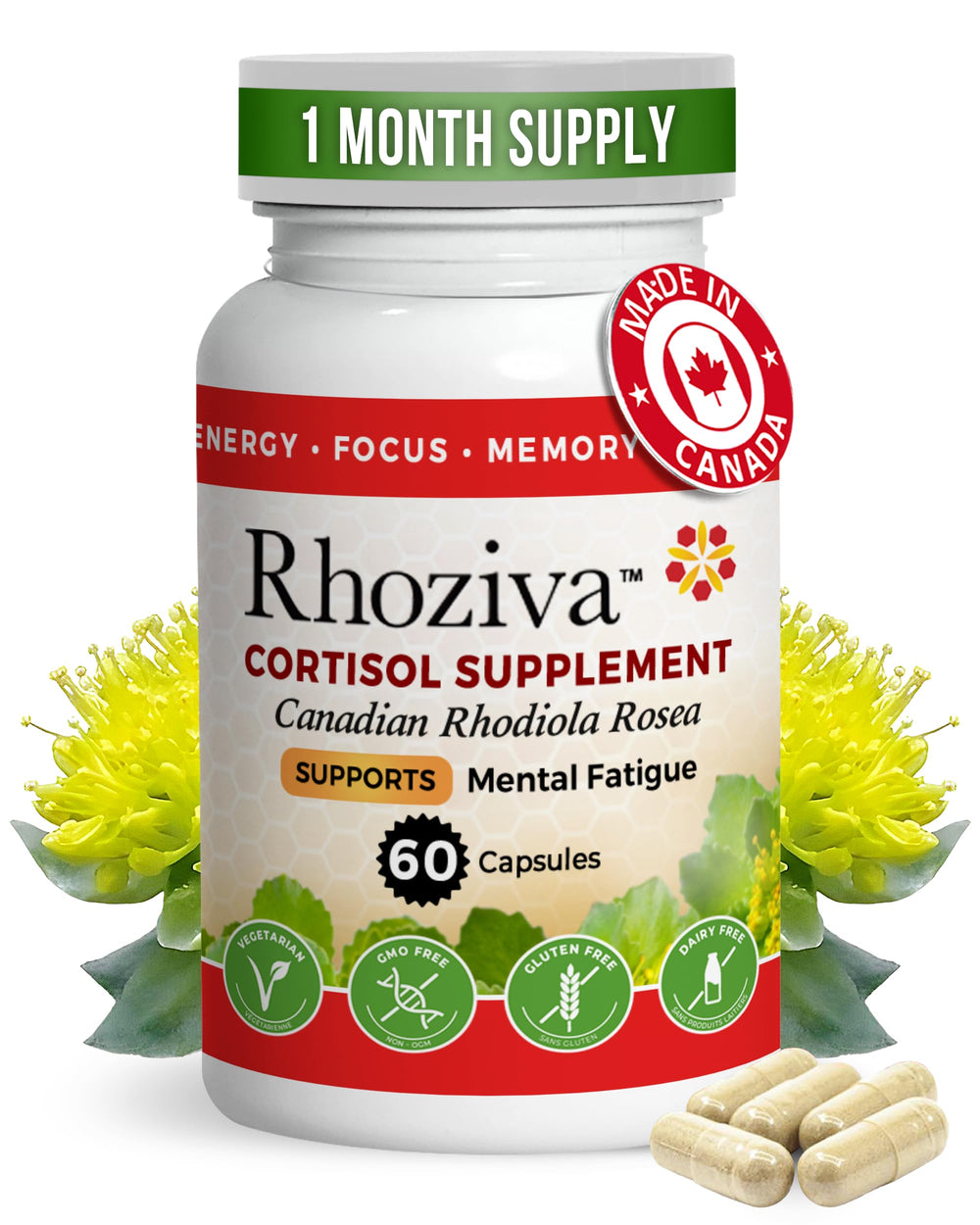Rhoziva Rhodiola Rosea capsules in a sealed bottle for focus support.