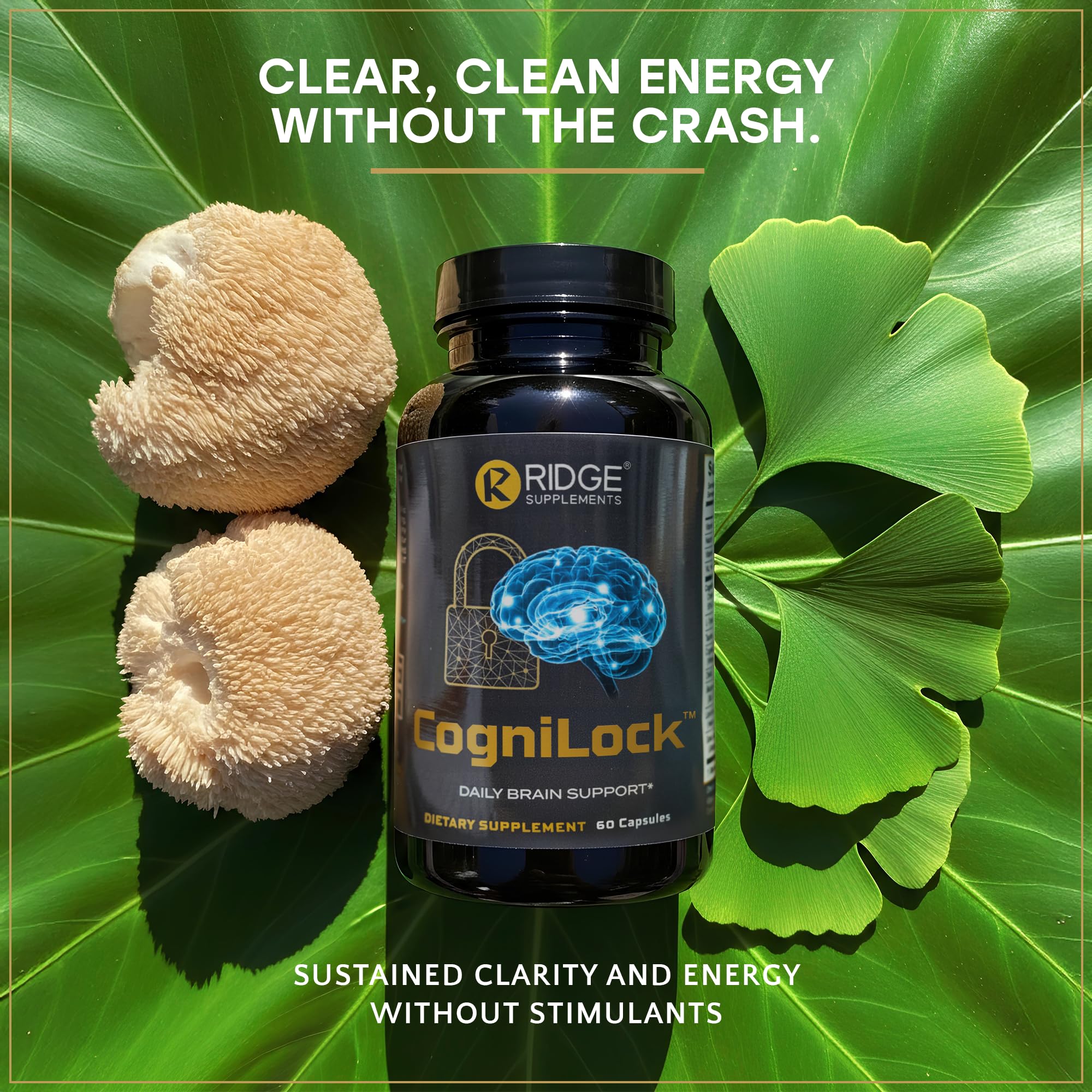 RIDGE SUPPLEMENTS CogniLock label close-up emphasizing vegan and non-GMO purity.