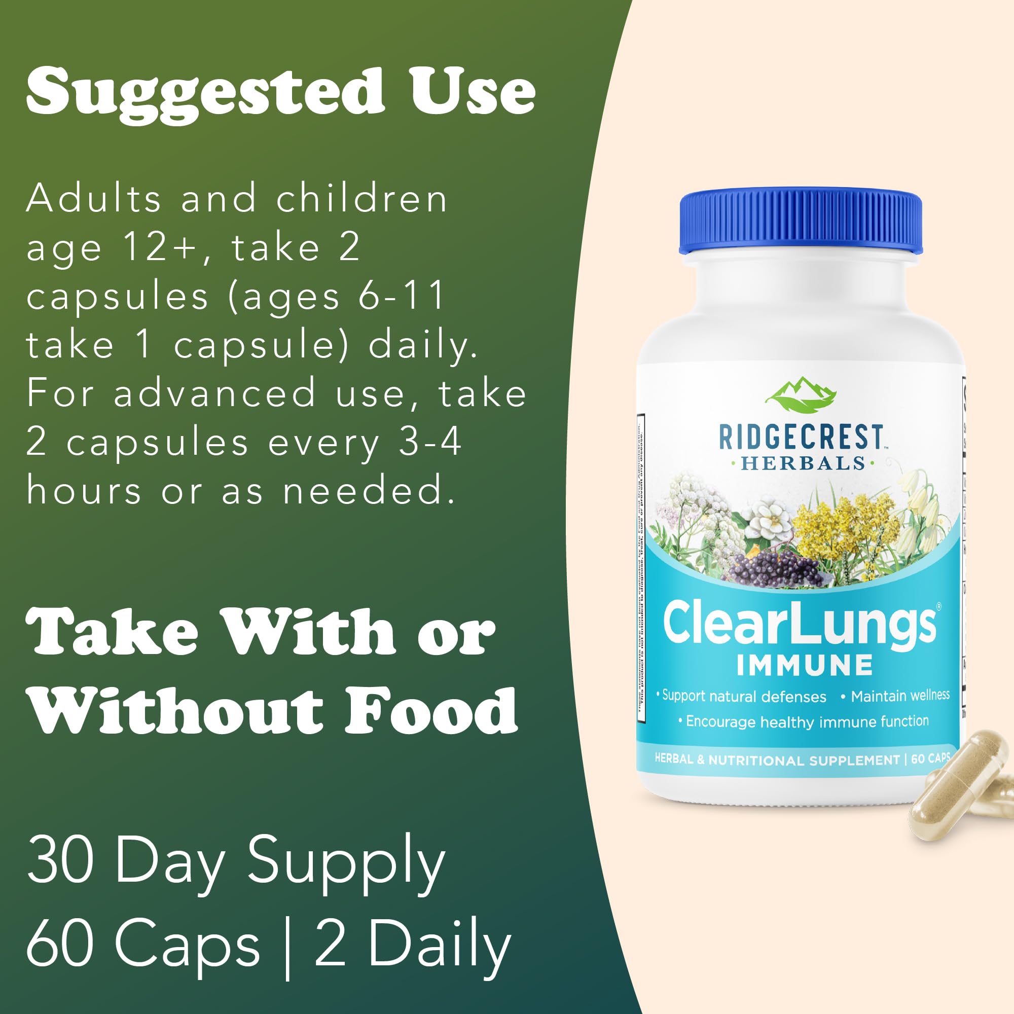 RidgeCrest ClearLungs Immune Isatis root and Andrographis components close-up