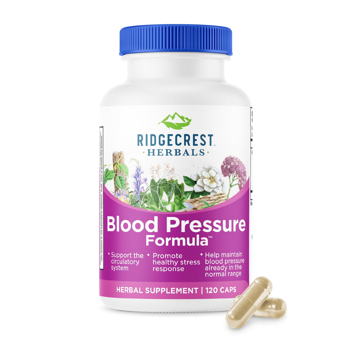 RidgeCrest Herbals Blood Pressure Formula bottle for daily use supporting circulatory balance.