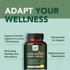 Illustration of digestion with Rigma Herbal BEE Gut Health