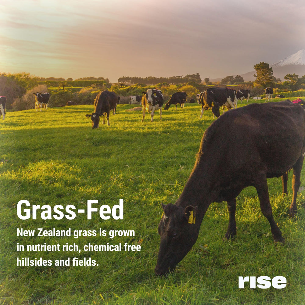 Rise Grass-Fed Whey Vanilla NZ cows origin signals quality protein
