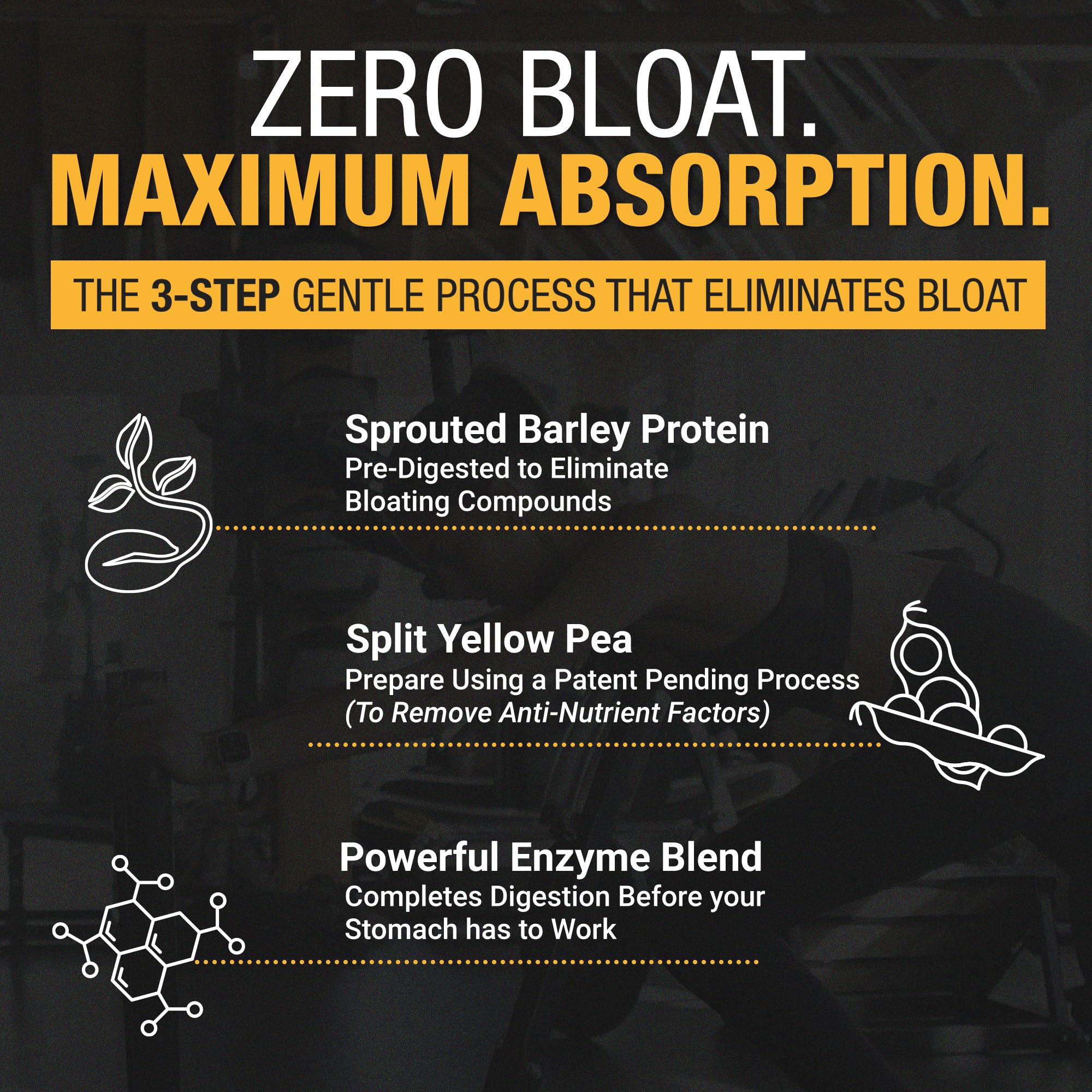 RISE311 gym shake hero demonstrates convenient, athletic-friendly protein for workouts.