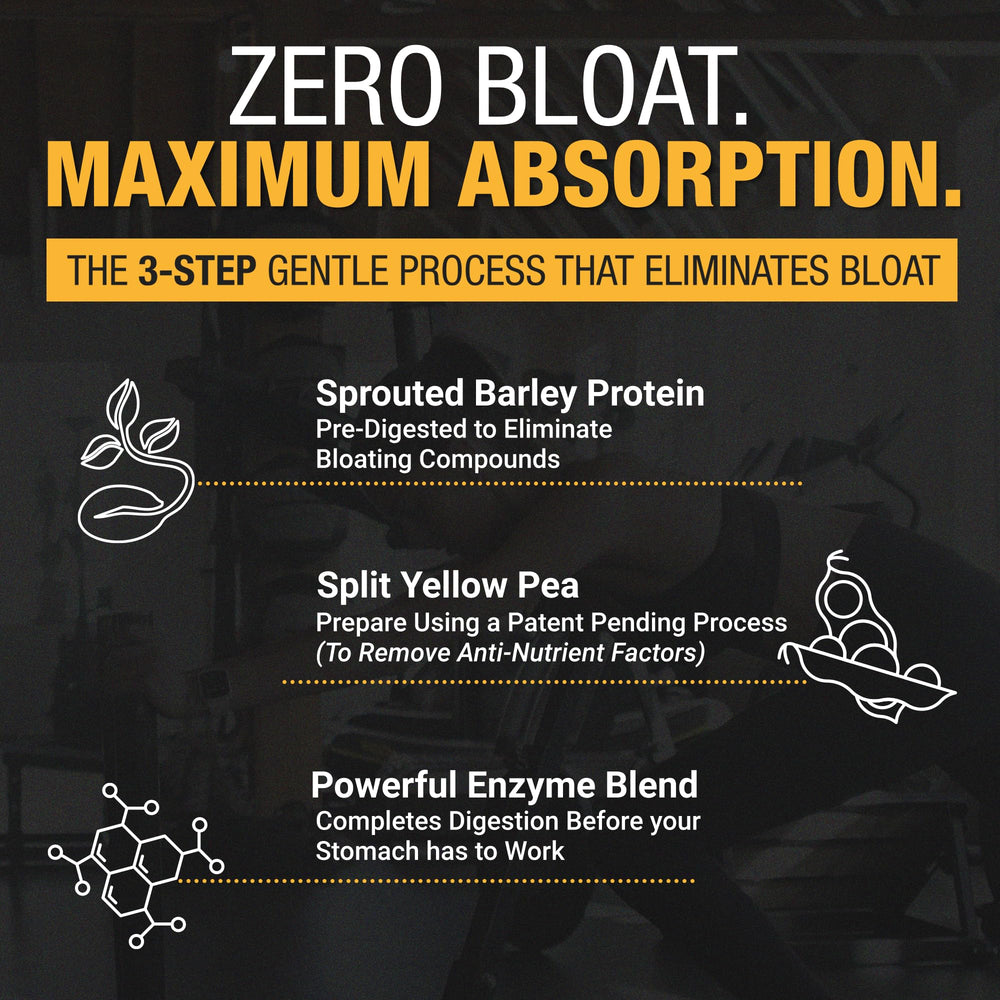 RISE311 gym shake hero demonstrates convenient, athletic-friendly protein for workouts.