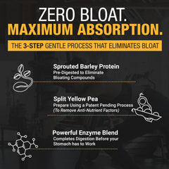 RISE311 gym shake hero demonstrates convenient, athletic-friendly protein for workouts.