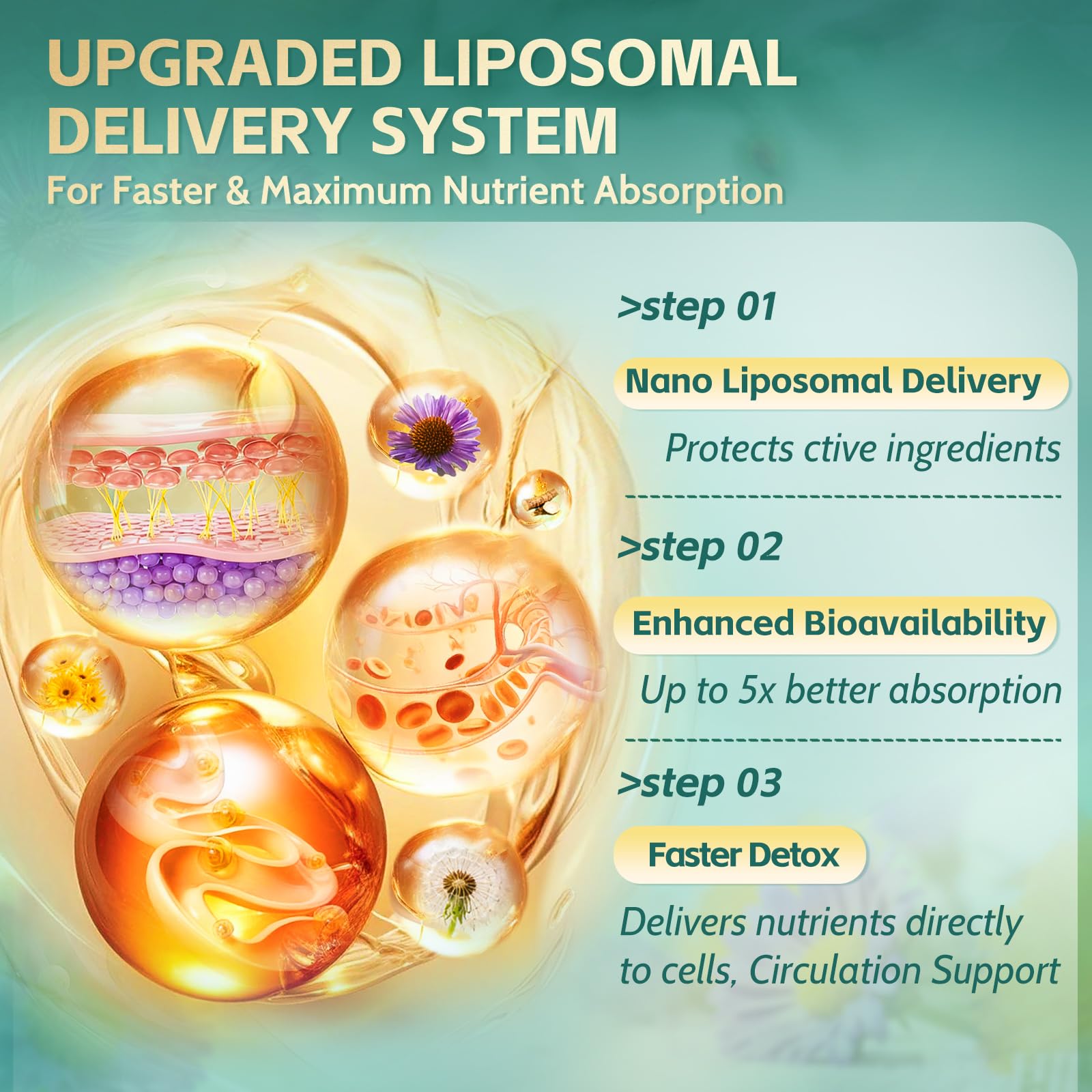 RiseLuxun 21-in-1 lymph ingredients panel presents 21 botanicals in clear format.