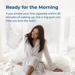 Rite Aid nicotine gum Ice Mint 4 mg blister pack for portable daily use