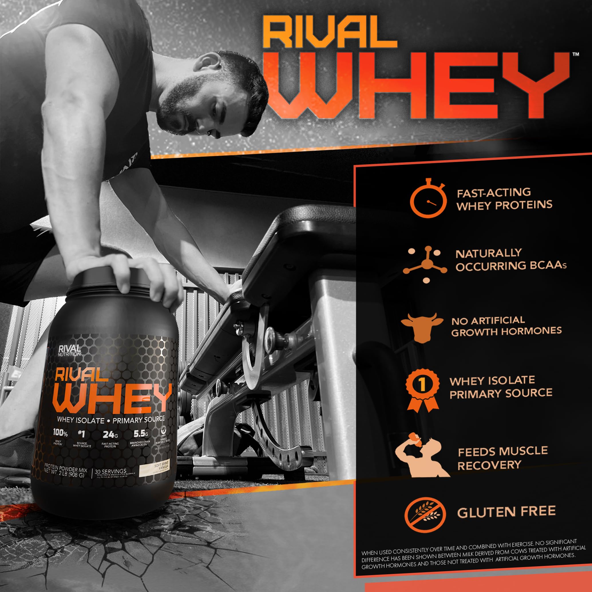 Rival Whey Cinnamon Toast Cereal texture close up highlights crunch.