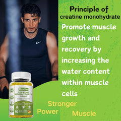 Ingredients panel close-up emphasizing creatine and B vitamins.
