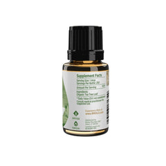 Massage application: carrier oil blend for relaxing, revitalizing body work.