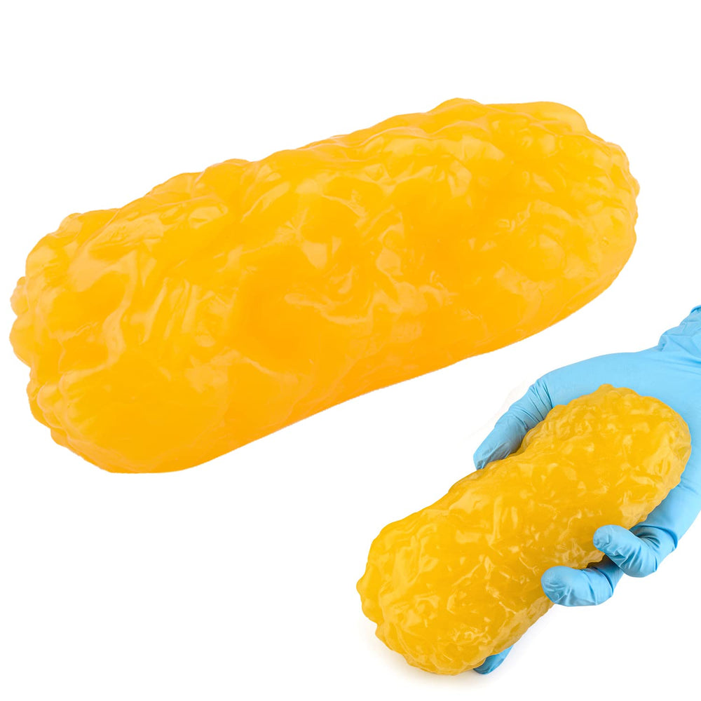 RONTEN 1 lb fat model close-up showing realistic texture for demonstrations
