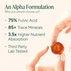 Root Labs Shilajit Gummies closeup showing texture and tamarind flavor.