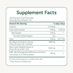 ROOT LABS Sea Moss Gummies in morning routine setting for easy daily use.