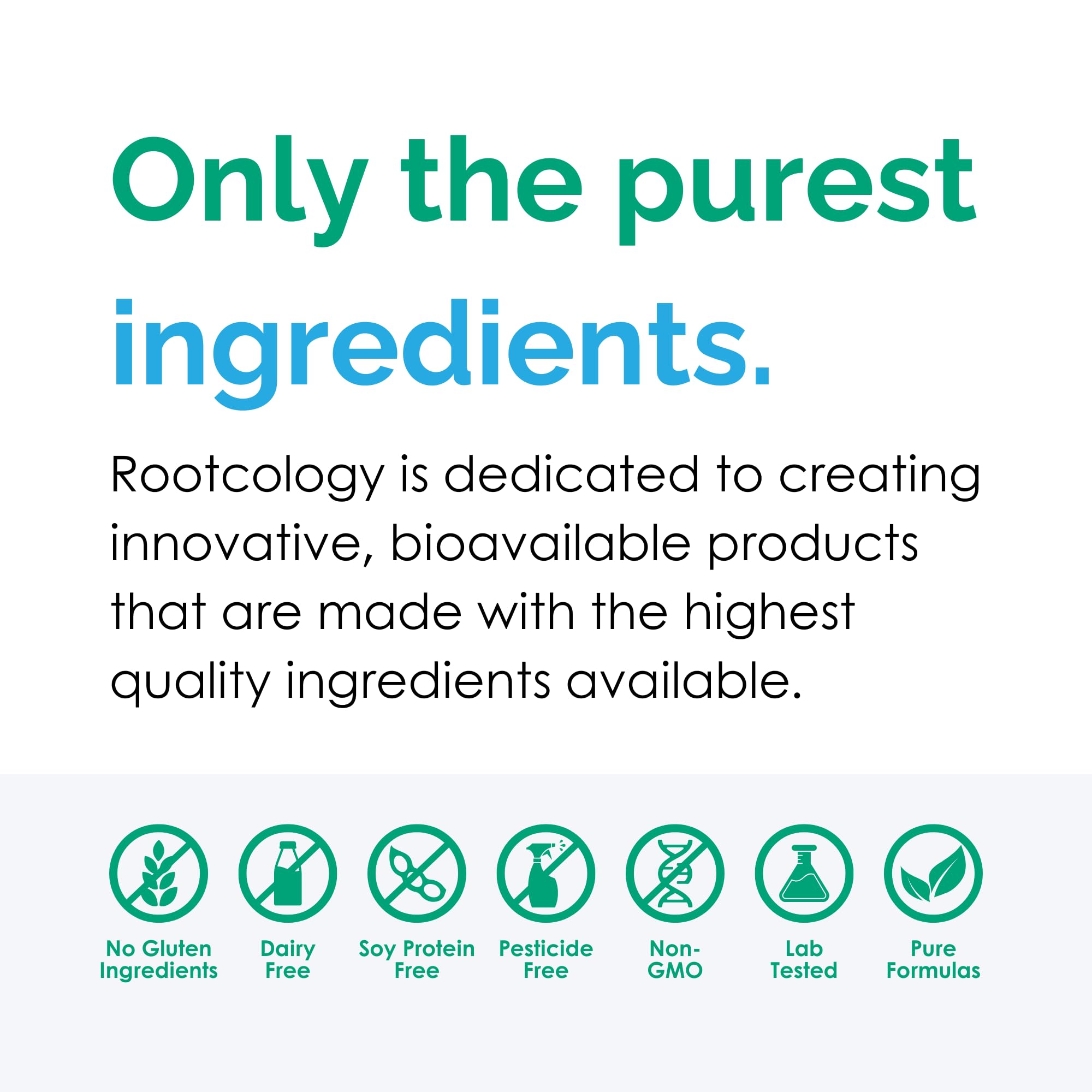 Rootcology enzyme blend ingredients graphic highlights comprehensive digestive support.