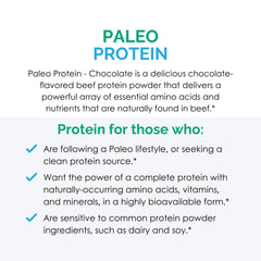 Close-up of Rootcology Paleo Protein chocolate label highlighting dairy-free ingredients.