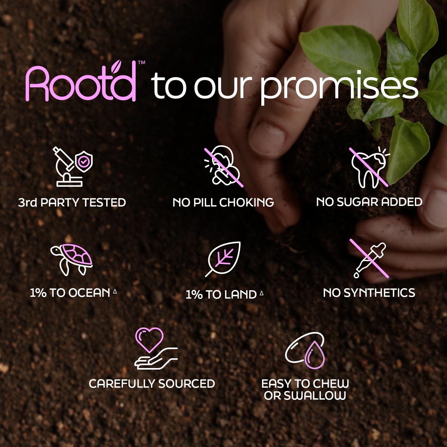 Root'd daily-use routine with softgels