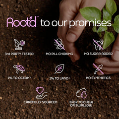 Root'd daily-use routine with softgels