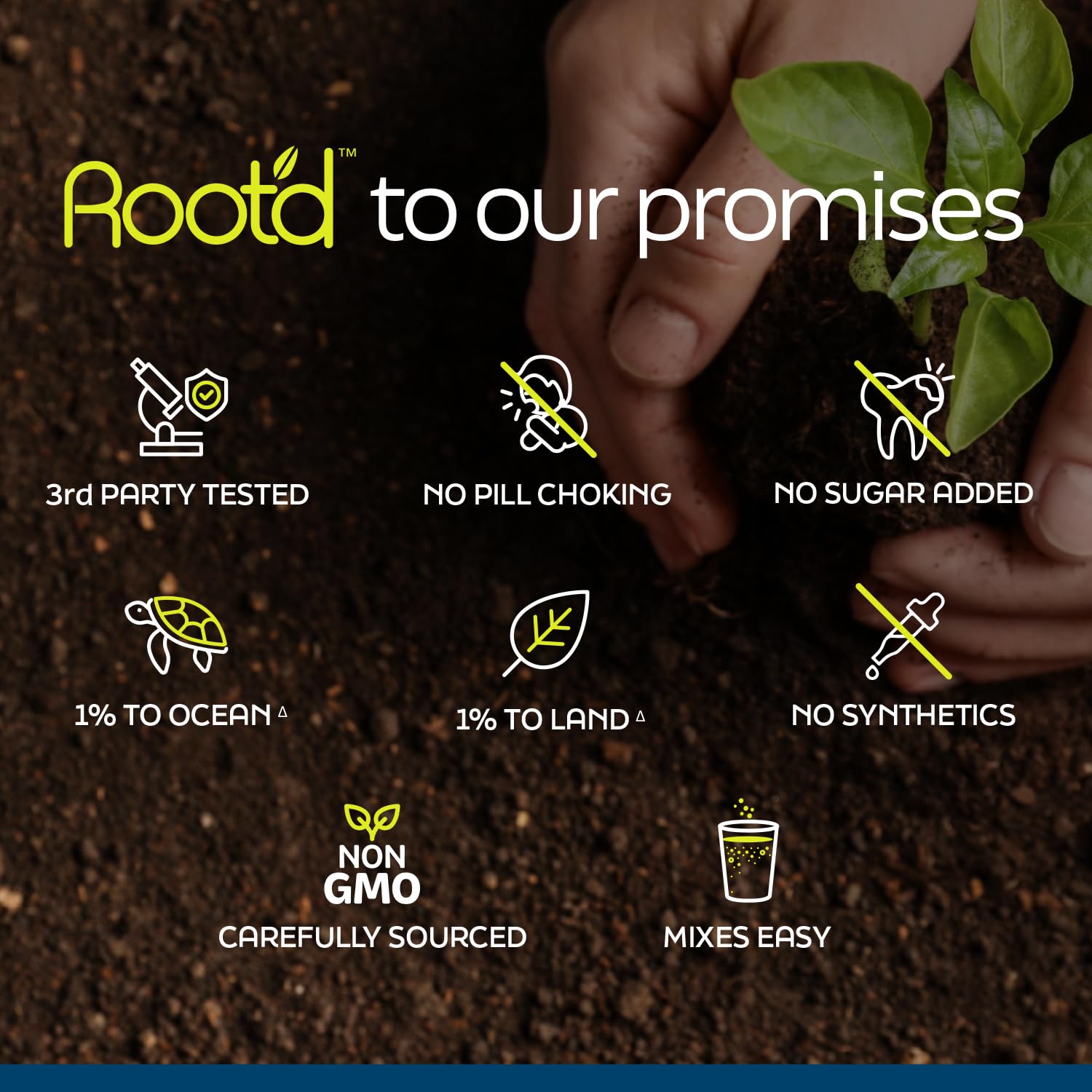 Root'd sustainability pledge graphic highlights reforestation and ocean cleanup