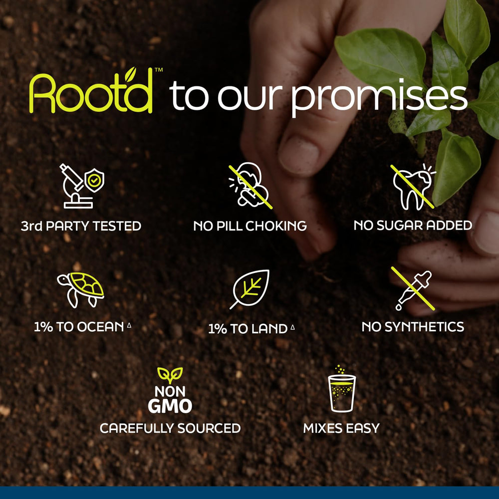 Root'd sustainability pledge graphic highlights reforestation and ocean cleanup