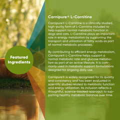 Rooted Owl Carnipure L-Carnitine bottle, showcasing the clinically studied metabolic ingredient.