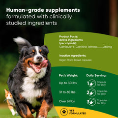 Rooted Owl Metabolism Support capsules, easy daily administration for pets.