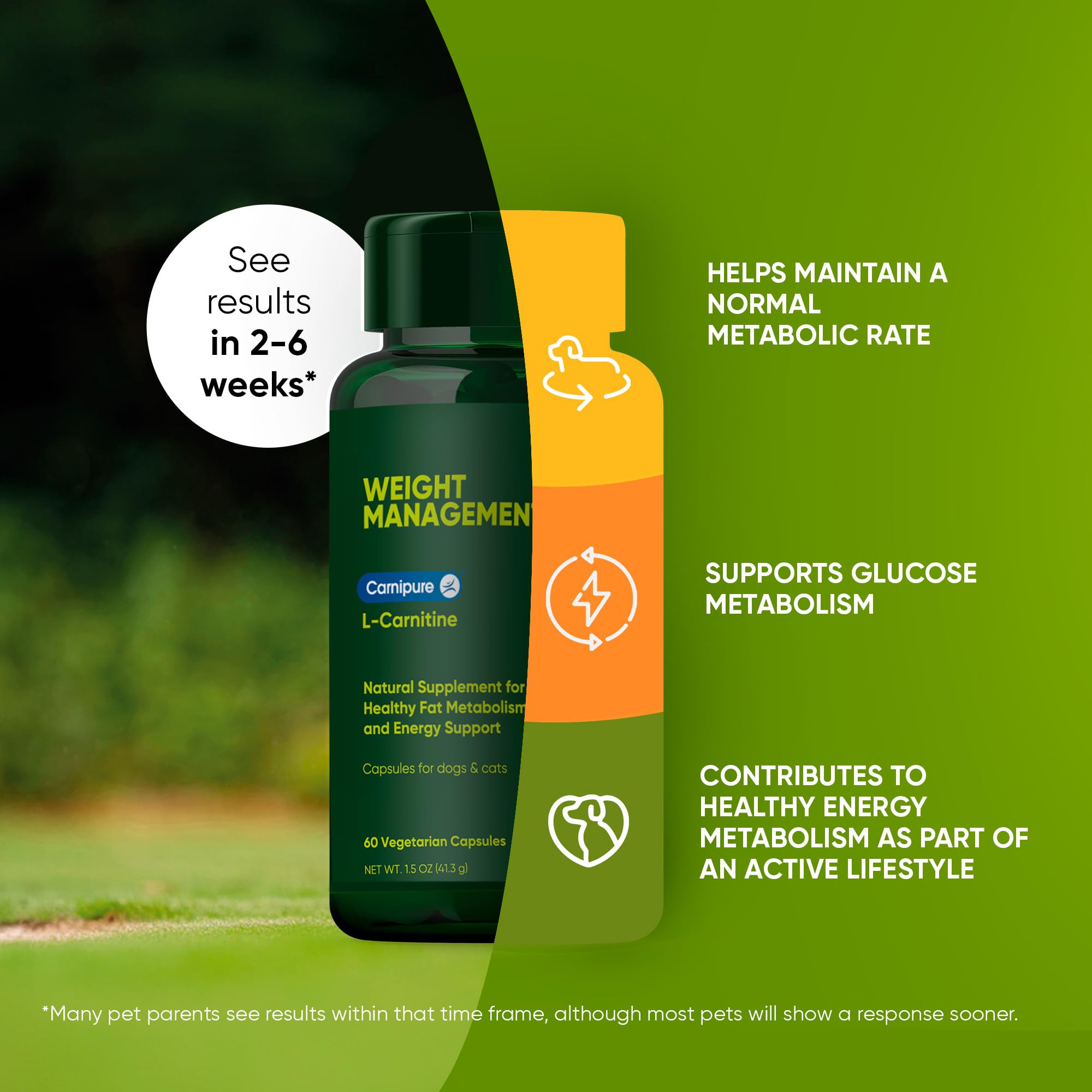 Rooted Owl Metabolism Support label close-up highlighting Carnipure L-Carnitine.