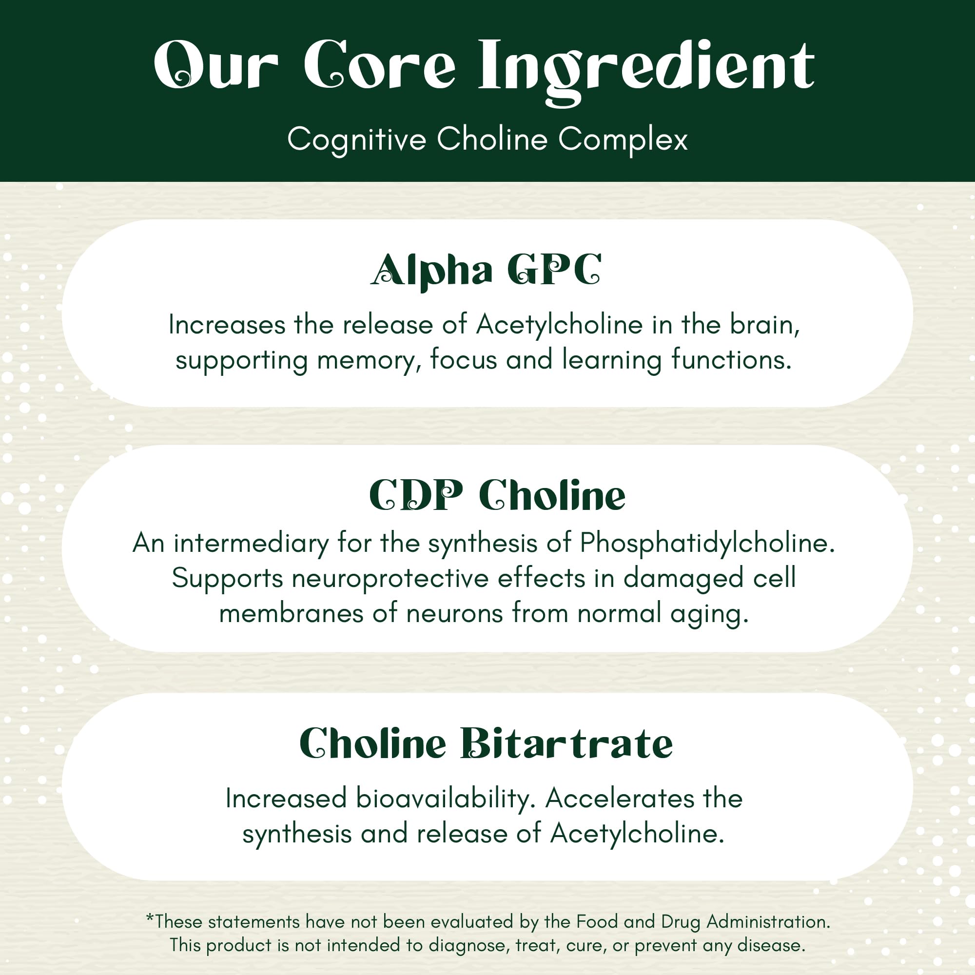 Rootful Mind Alpha Focus ingredient swatch highlights 14-in-1 formula for holistic brain support.