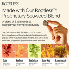 Rootless Seaweed Daily Bites Coconut Chai vegan gluten-free badge highlights accessibility