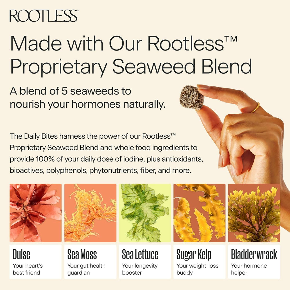 Rootless Seaweed Daily Bites ingredients glimpse reveals whole-food components for daily nourishment