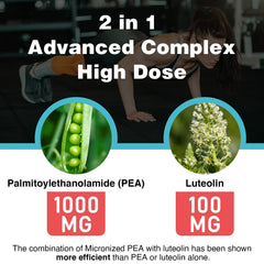 Rosmolo liposome technology graphic illustrates improved delivery