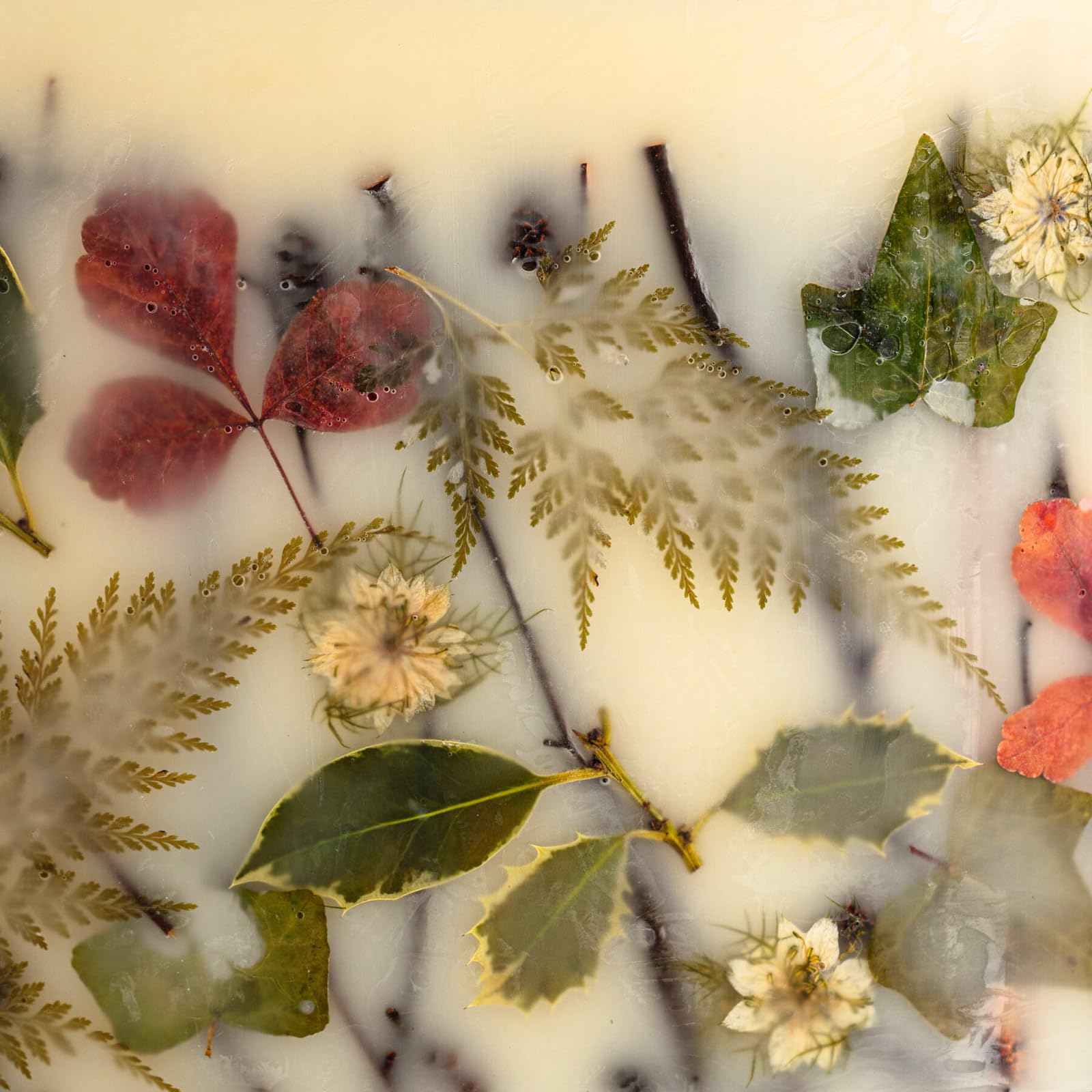 Rosy Rings Forest Round Candle uses handcrafted soy wax for a cleaner burn.