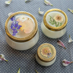 Lit Rosy Rings Vanilla Rain illuminates a space with warm fragrance