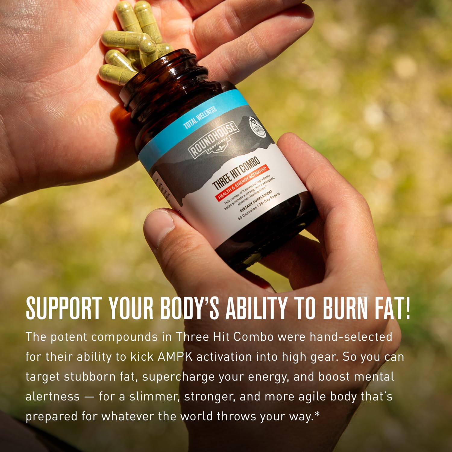 ROUNDHOUSE PROVISION Three Hit Combo berberine depiction noting metabolism-friendly compounds.