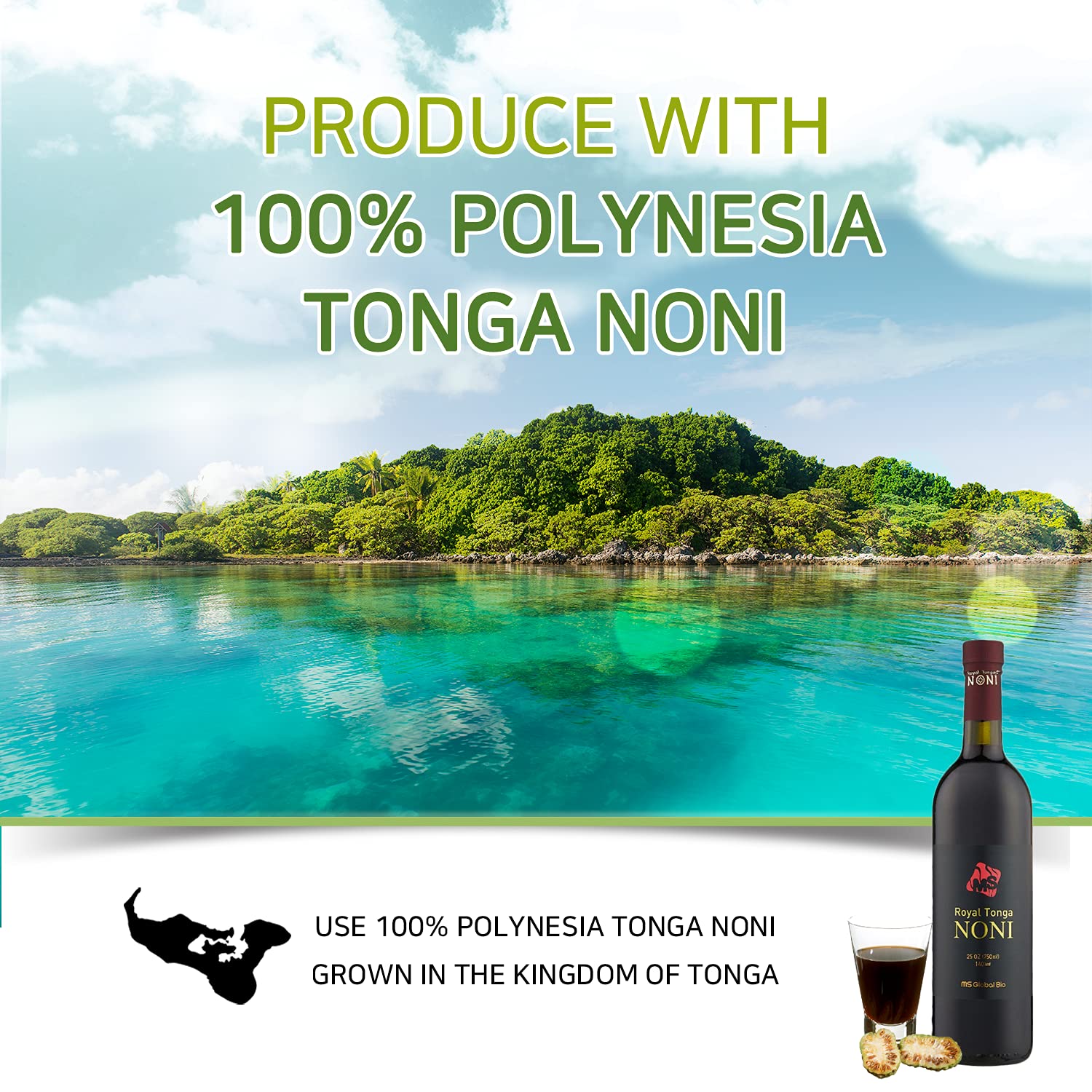 Royal Tonga Noni fruit harvest with ripe yellowish fruits.