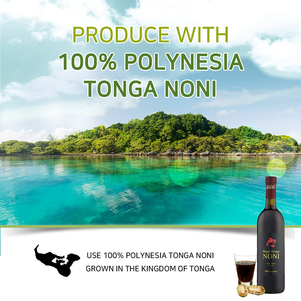 Royal Tonga Noni fruit harvest with ripe yellowish fruits.