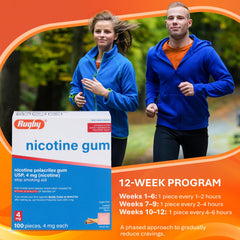Rugby Laboratories Cinnamon 4mg gum individual sticks arranged for daily use.