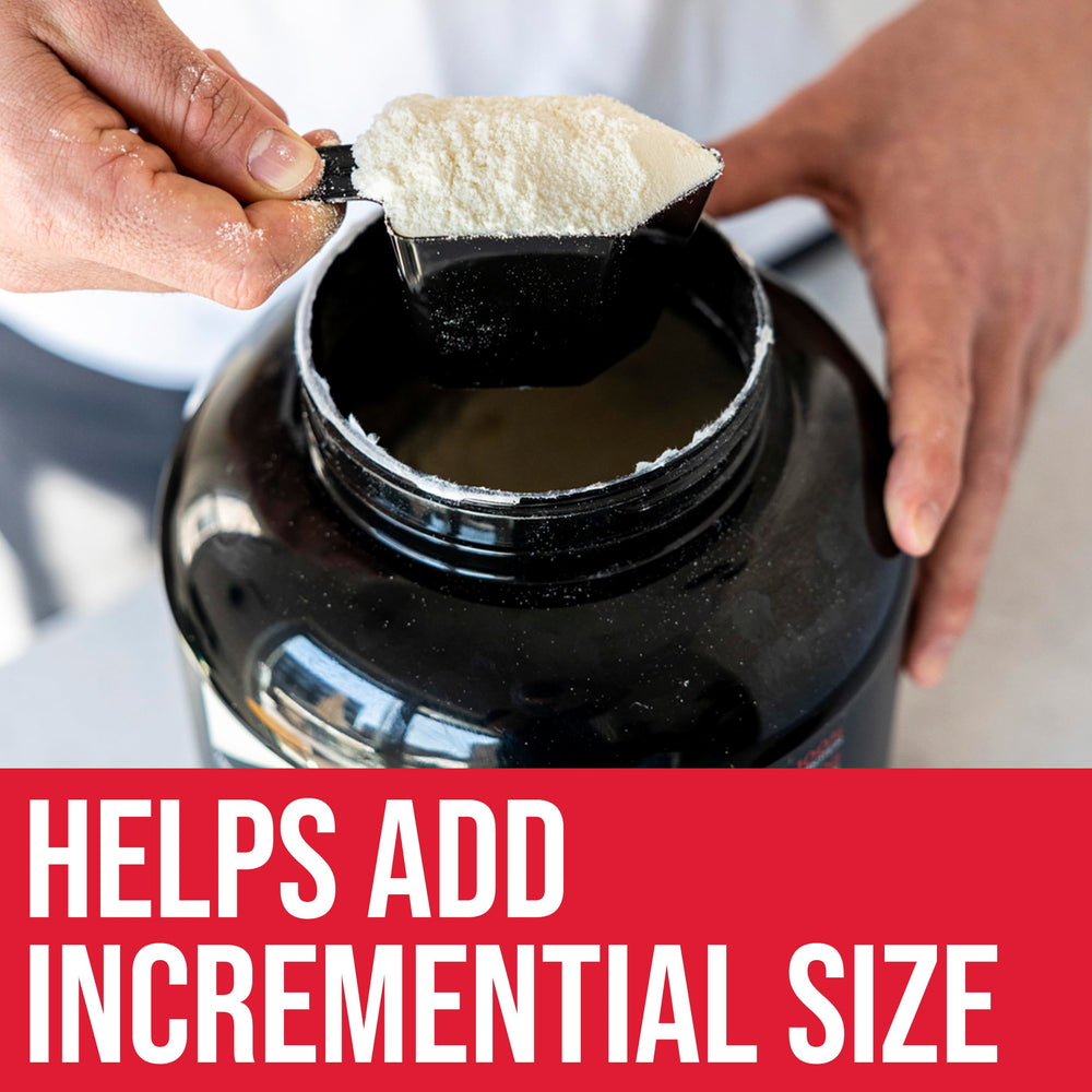 Rule 1 Clean Gainer ingredients panel showing protein blend