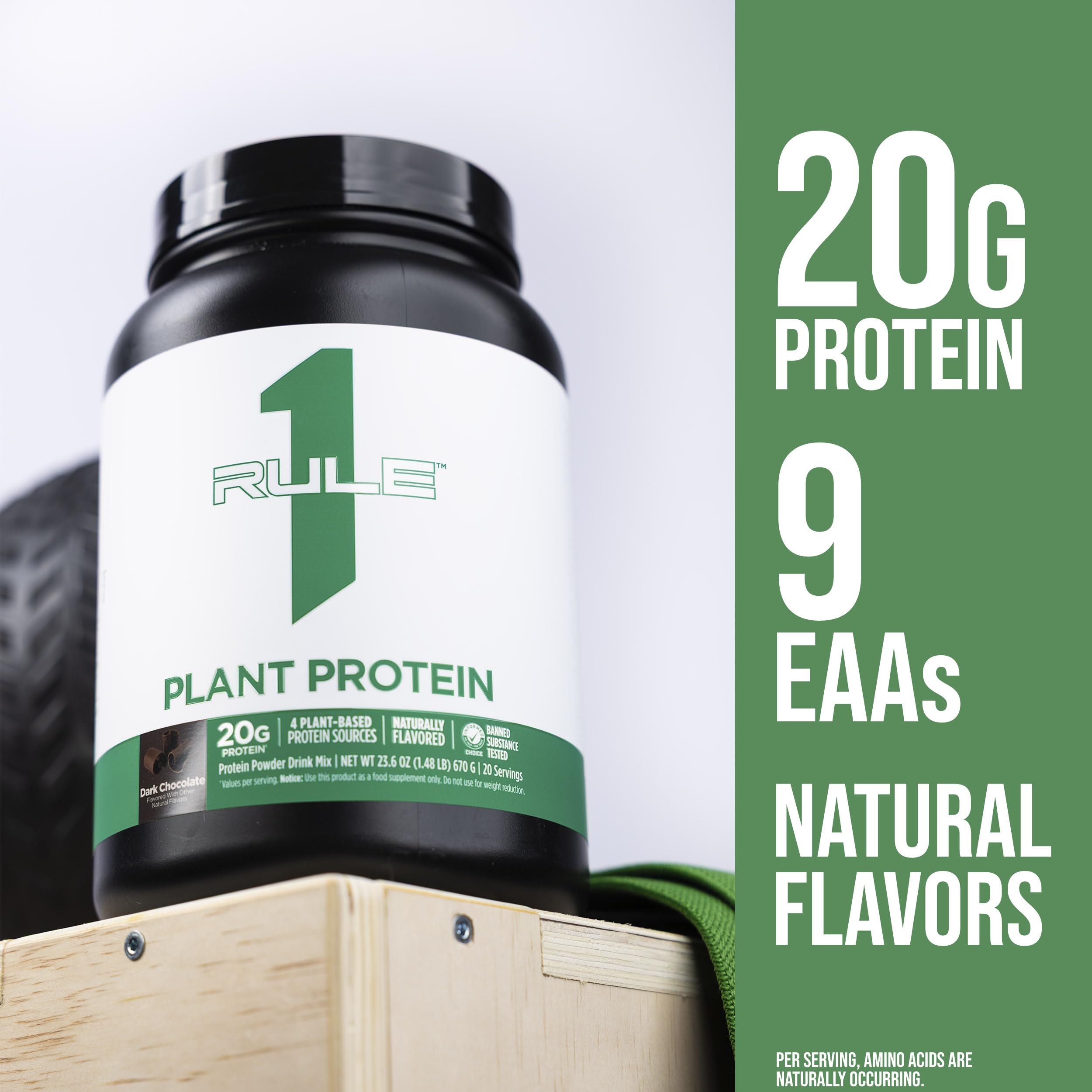 Rule 1 Plant Protein dark chocolate shake in water—creamy texture without dairy.