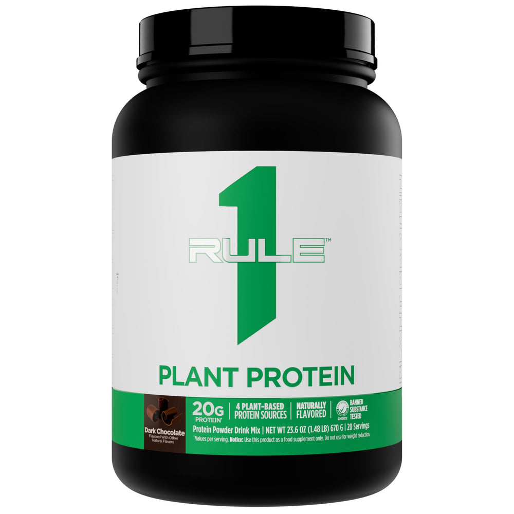 Rule 1 Plant Protein dark chocolate tub front—vegan powder ideal for daily protein boosts.