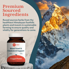ruved Guggul Power dosage table with suggested daily use