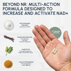 RYOS RefuseToAge capsules swirl illustrates easy daily intake.