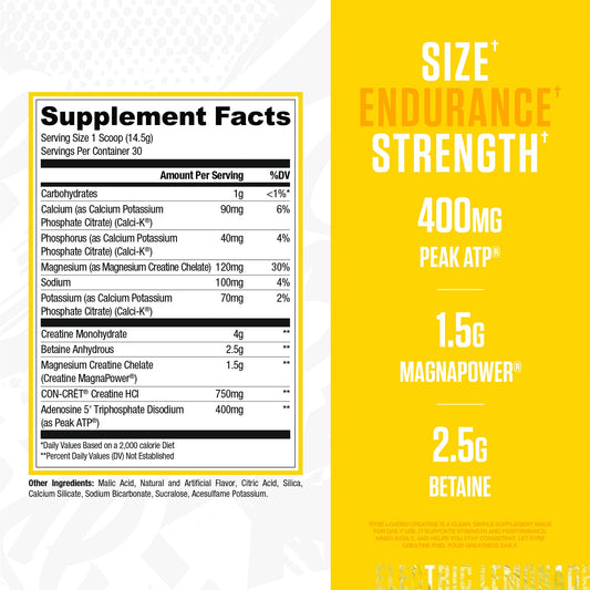 RYSE Loaded Creatine triple complex offers optimized absorption for steady performance.