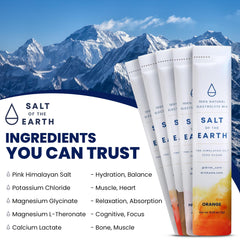Salt of the Earth sachets on-the-go hydration solution.