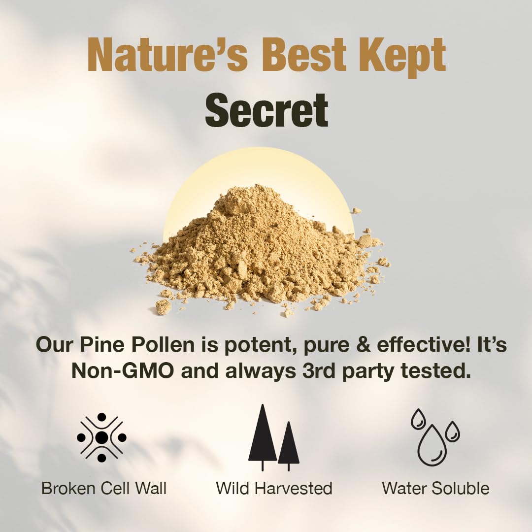 Samsara Herbs Pine Pollen Powder golden texture hints at easy mixing and daily use.