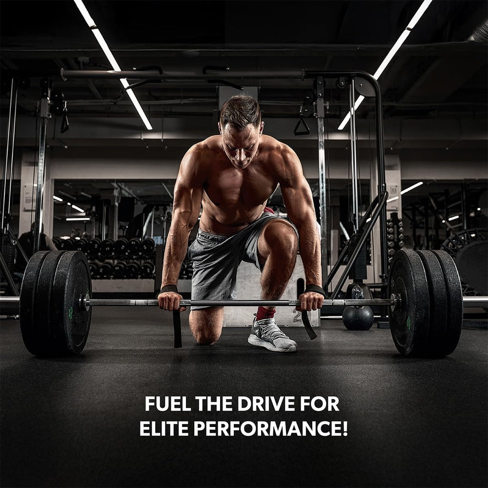 SAN Performance Creatine 600g micronized powder emphasizes fast absorption and smooth mixing.