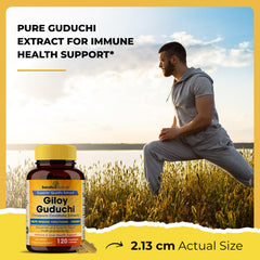 SANDHUHERBALS Giloy label front highlights organic quality and US production.