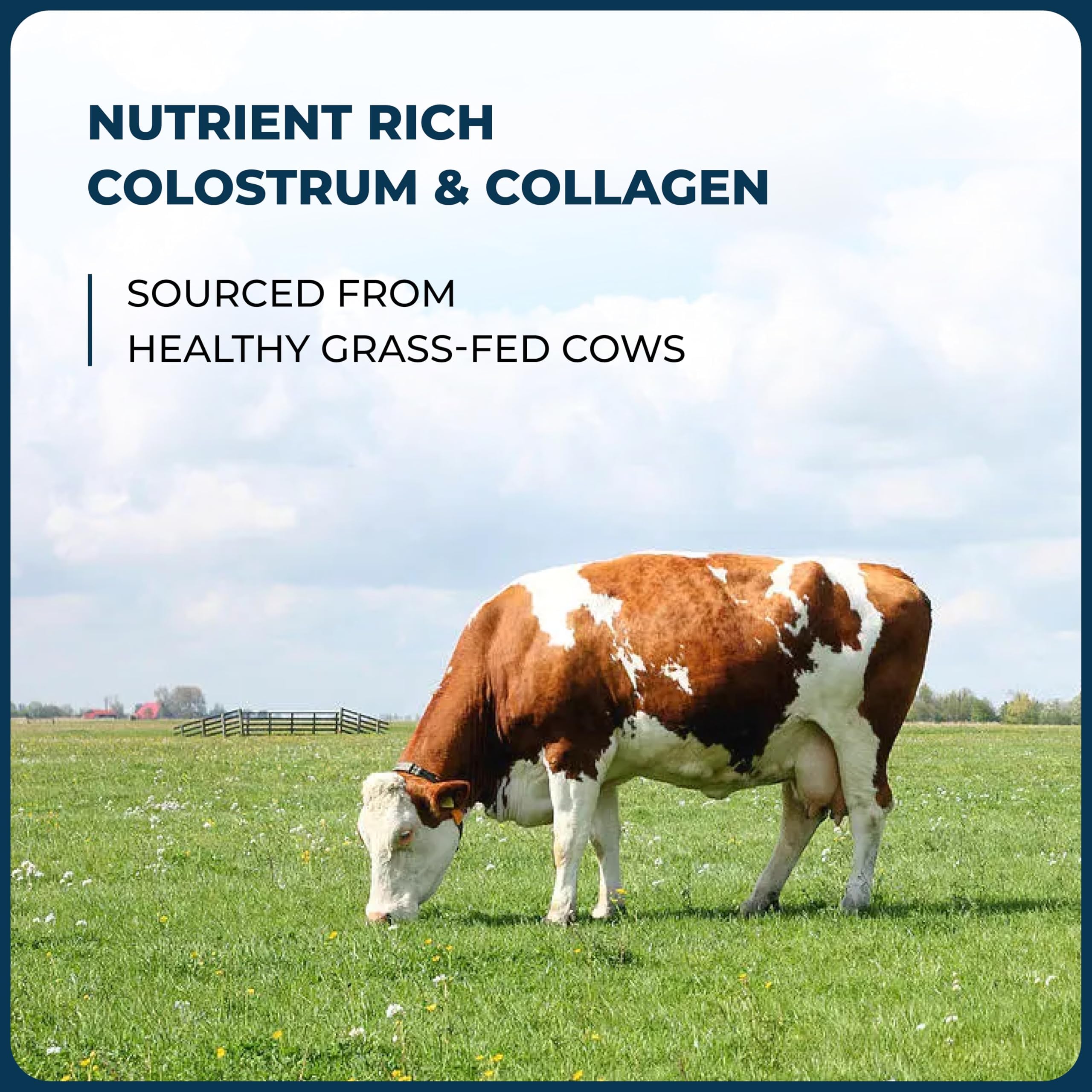 Sandhu's collagen peptides powder tub highlighting skin, hair, and nail benefits.